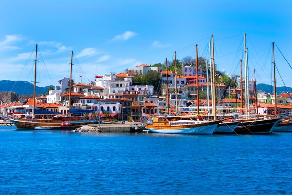 cruise-img